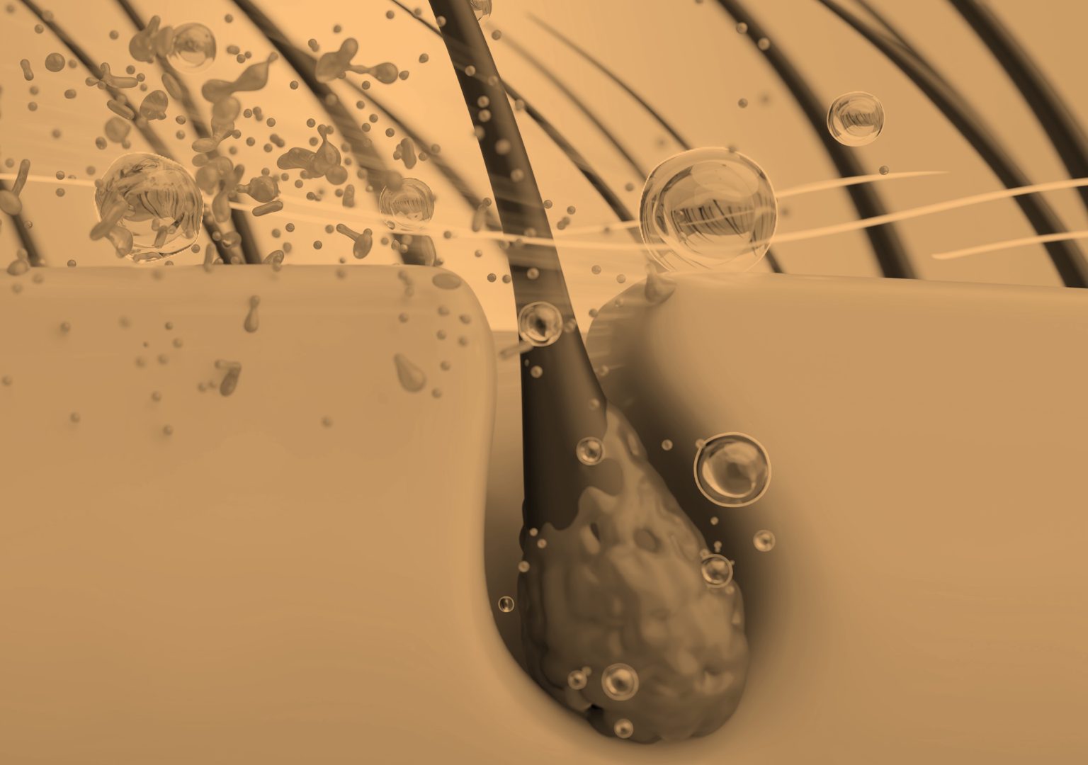 The Role of the Scalp Microbiome in Recovery